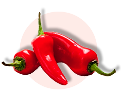 Andalusian Red Pepper