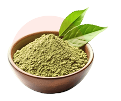 Ceremonial Green Tea